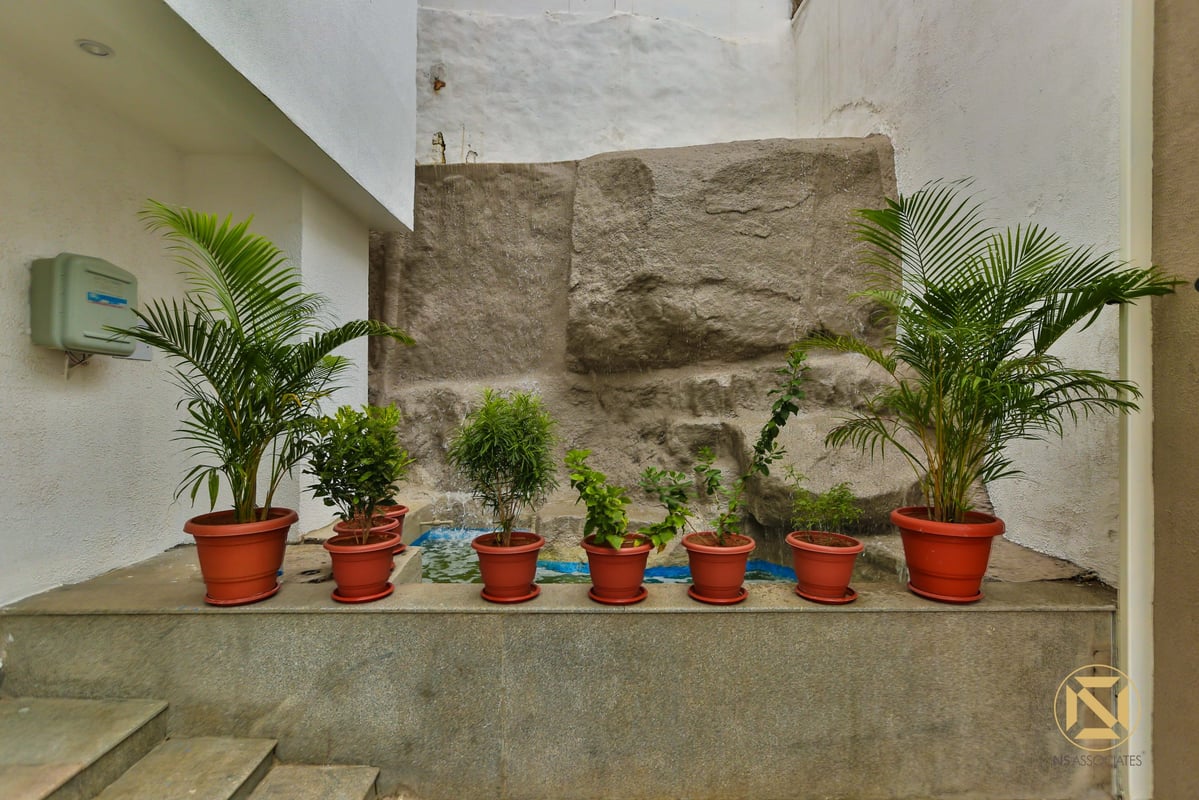 Sunken courtyard ledge lined with potted areca palms and shrubs against a textured grey rock wall, Hyderabad home